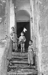 CROTONE - O GALHARDETE