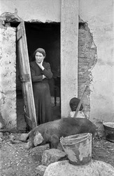 CROTONE RURAL - A PIADA DAS CASAS DE ALVENARIA,