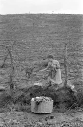 PAISAGEM RURAL DE CROTONE - O PEQUENO LAVADEIRO,