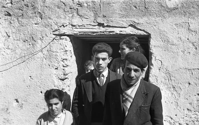 FAMÍLIA CROTONE