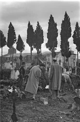 Cemitério, Venosa, Basilicata, Itália