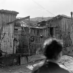 FIM DO TRIMESTRE XANGAI