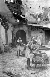 TRANSFORMAÇÃO DO CÂNHAMO, A DOSAGEM