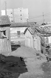 ALDEIA DE MONTECATINI - CROTONE