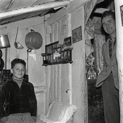 TRABALHADOR DE SALA,