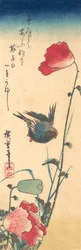 Um pássaro azul e papoulas, 1832-34., 1832-34.