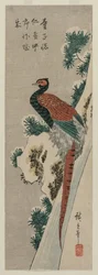 Faisão de cobre pela cachoeira nevado, 1830s atrasados ou 1840s adiantados.