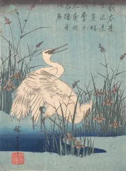 Garça em Iris e Grasses, ca. 1837., c. 1837.