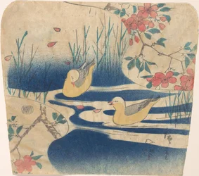 Gaivotas encapuzadas e flores de cerejeira, provavelmente 1850-62., provavelmente 1850-62.