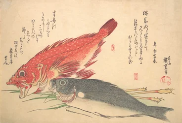Isaki e Kasago Fish, da série Uozukushi Every Variety of Fish, década de 1830., década de 1830.