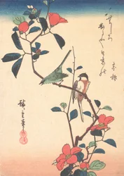 Japonês White-eye e Titmouse em um ramo de camélia, ca. 1840., c. 1840.