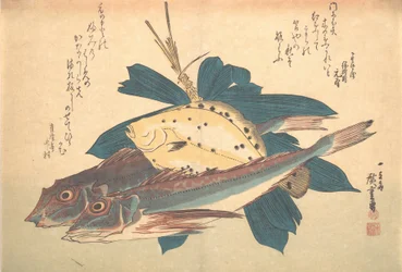 Kanagashira e Karei Fish, da série Uozukushi Every Variety of Fish, década de 1830., década de 1830.