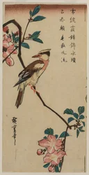 Rouxinol coreano em Cherry Branch, início ou meados da década de 1830.