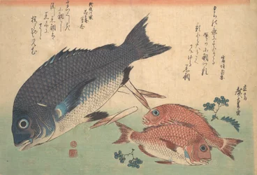 Peixes Kurodai e Kodai com Brotos de Bambu e Bagas, da série Uozukushi Every V..., década de 1830.
