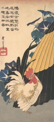Galo, guarda-chuva e glórias da manhã, ca. 1830., c. 1830.