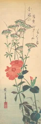 Rosas soberbos e Agrimônia Chinesa, ca. 1836., c. 1836.