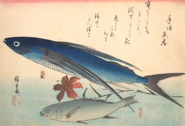 Tobiuo e Ishimochi Fish, da série Uozukushi Every Variety of Fish, década de 1840., década de 1840.
