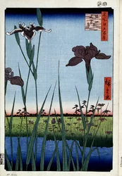 ""Cem vistas famosas de Edo"" : ""íris para Horikiri" (Íris em Horikiri (Cem Vistas Famosas de Edo) Impressão Japonesa de Utagawa Hiroshige (1797-1858) 1856-1858 Museu Hermitage de São Petersburgo