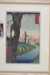 Koganei Na província de Musashi (Musashi Koganei) (impressão em bloco de madeira a cores)