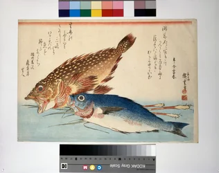 Peixe escorpião e peixe isaki com raiz de gengibre
