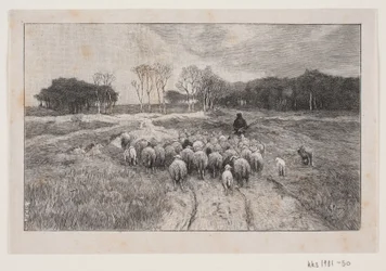 Paisagem com ovelhas e pastor