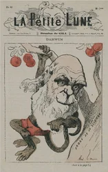 Darwin como macaco em La Petite Lune