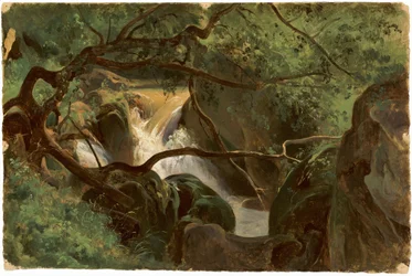 Interior da Floresta com Cachoeira, Papigno, 18251830.