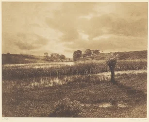 The Ponds at Optevoz, Rhône