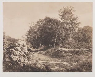 Cena sem título de Fontainbleau, c. 1853