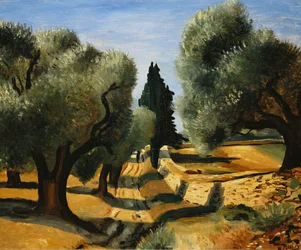 As oliveiras na Provença; Oliviers en Provence