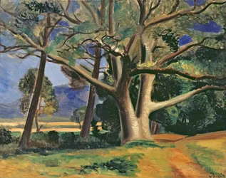 A árvore grande, c.1929-30 (óleo sobre tela) (ver também 287578)