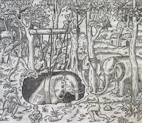 Caça ao elefante na ilha de Java, gravura da Cosmologia Universal, de Andre Thevet (1504-1592), Paris