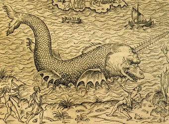 Monstro marinho, gravura de Universal Cosmology, de Andre Thevet (1504-1592), Paris