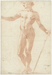 Modelo masculino nú em pé