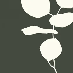 Estudo de uma planta serena