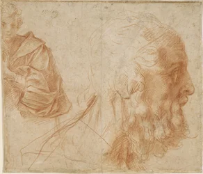 Um jovem e a cabeça de um velho Homer. Estudo, ca 1521