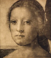 Cabeça de uma jovem mulher, desenhando por Andrea del Sarto. Gabinete de Desenhos e Gravuras, Galeria Uffizi, Florença