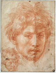 Cabeça de homem Desenhar a la sanguine d