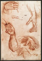 "Estudo das mãos" desenhando carvão vegetal (carvão vegetal)