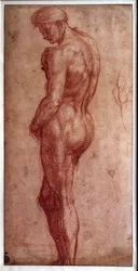 Estudo de nu masculino, desenho a sanguínea de Andrea del Sarto (1480-1530). Século XVI. Paris, Museu do Louvre