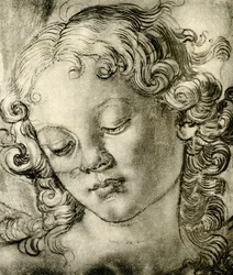 Cabeça de anjo