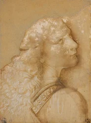 Busto de um jovem, estudo para o anjo do “Batismo de Cristo” de Verrocchio, c. 1475 (ponta de metal, aquarela ocre e tinta branca sobre papel preparado de ocre claro)