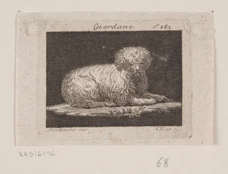 Giordano, um cão mentiroso