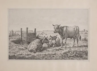 Dinamarquês: Um touro e duas vacas