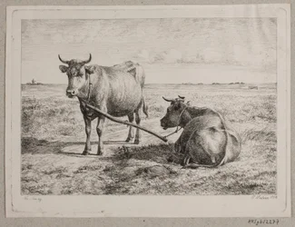 Dinamarquês: Duas vacas interligadas