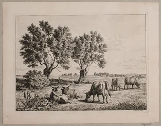 Paisagem com gado pastando