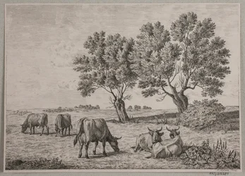 Paisagem com gado pastando