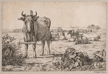 paisagem com vacas