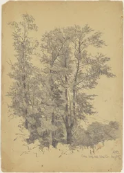 Oaks, Wolf Hill, Condado de Ulster