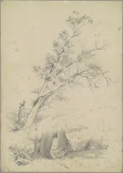 árvores, Hudson